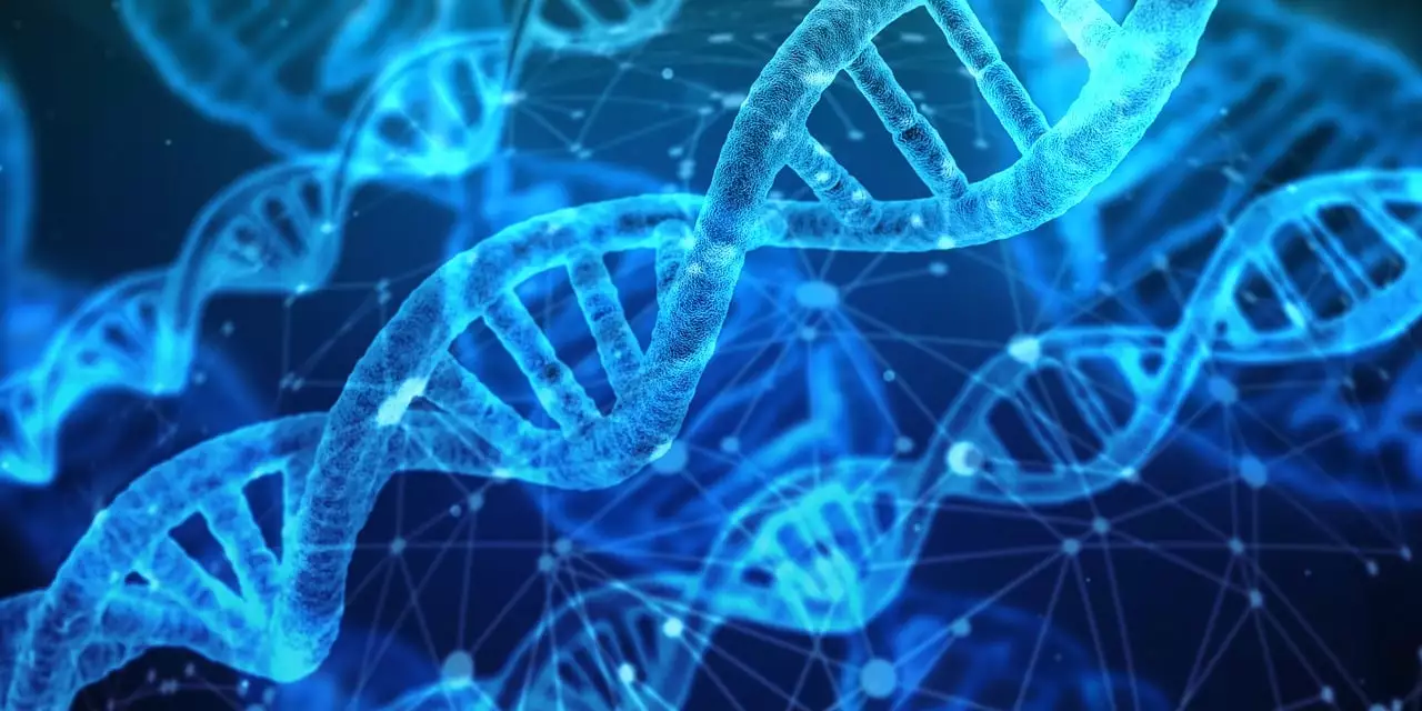 Can DNA testing be done in one take