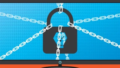 Ransomware attacks hit over 200 US public sector organizations last year